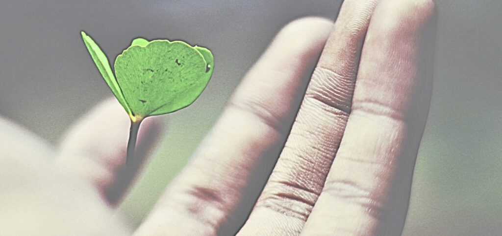 Ein grüner Schmetterling hockt in der Nähe der Fingerspitzen einer Person vor einem unscharfen Hintergrund.