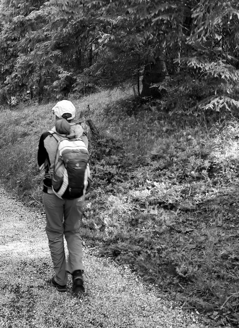 Eine Person mit einem Rucksack geht allein auf einem Kiesweg durch ein Waldgebiet.